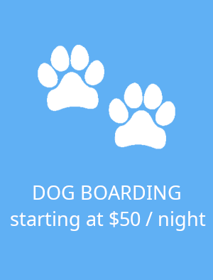 /static/images/boarding_tile.png