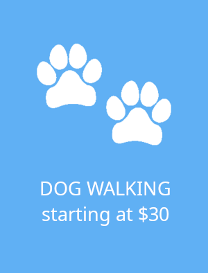 /static/images/dog_walking_tile.png