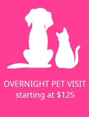 /static/images/overnight_pet_visit_tile.png